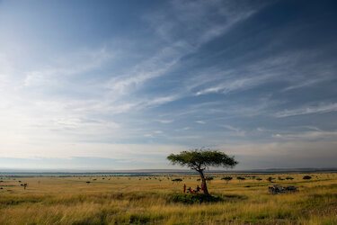 Landschaft Kilima Camp