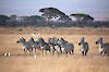 Tag 5: Safari im Amboseli-Nationalpark