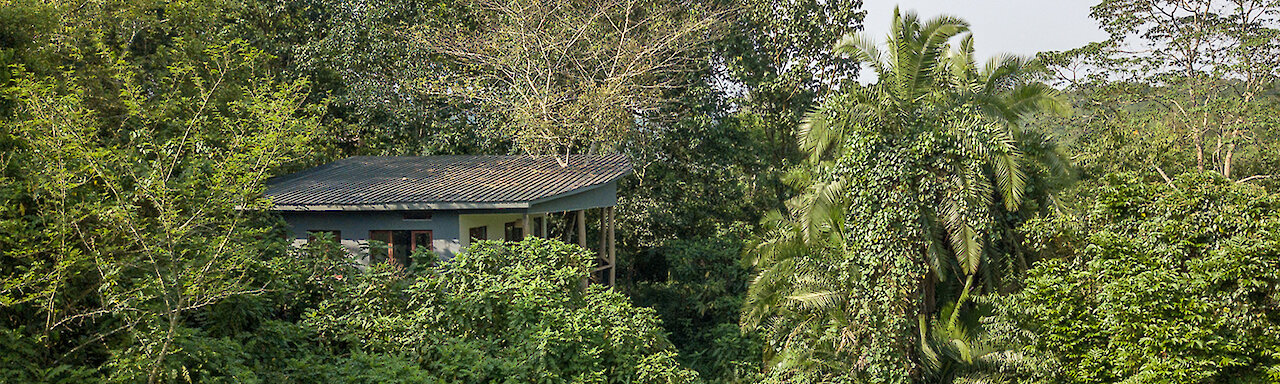 Cottage umgeben von Grün