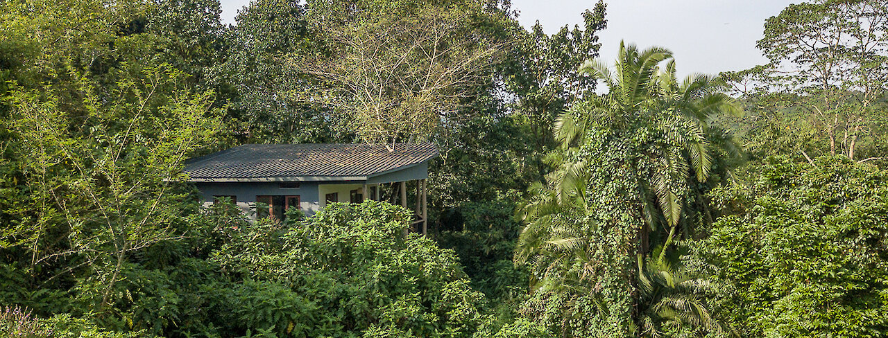 Cottage umgeben von Grün