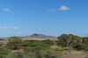 Tag 5: Safari im Samburu-Nationalpark