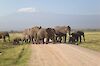 Tag 4: Safari im Amboseli-Nationalpark