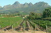 Tag 5: Paarl