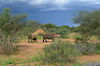 Tag 4: Waterberg