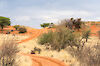 Tag 17: Kalahari