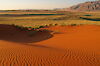 Tag 3 & 4: Windhoek - Wolwedans