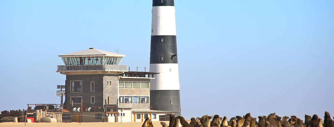 Die Lodge liegt direkt neben einem alten Leuchtturm und wird von Seehunden und Pelikanen besucht