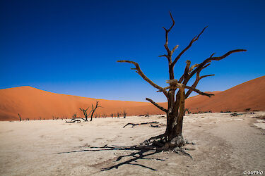 Tag 9 & 10: Faszinierende Namib