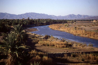 Tag 5: Im Flussbett von Wadi Drâa