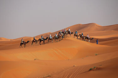 Tag 7: In die Sahara