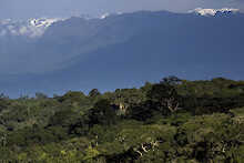 Ausblick vom Turaco Treetops