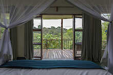 Ausblick aus dem Doppelzimmer des Turaco Treetops