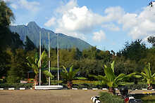 Landschaft der Le Bambou Gorilla Lodge