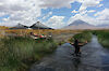 Tag 4: Erkundung des Lake Natron