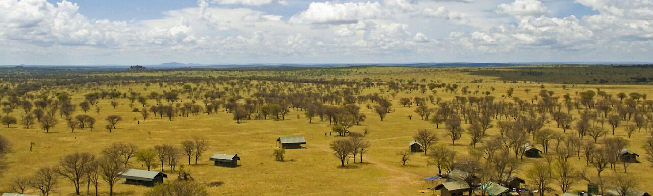 Ausblick auf die Serengeti View Camp Zelt in Weitaufnahme