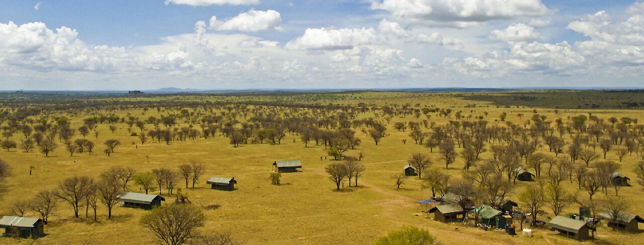 Ausblick auf die Serengeti View Camp Zelt in Weitaufnahme