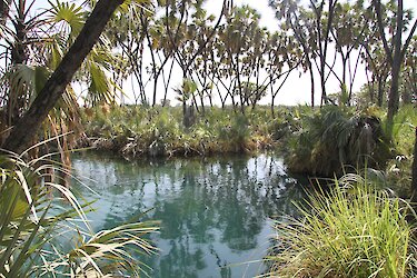 Blick auf eine Wasserstelle im Awash-Nationalpark