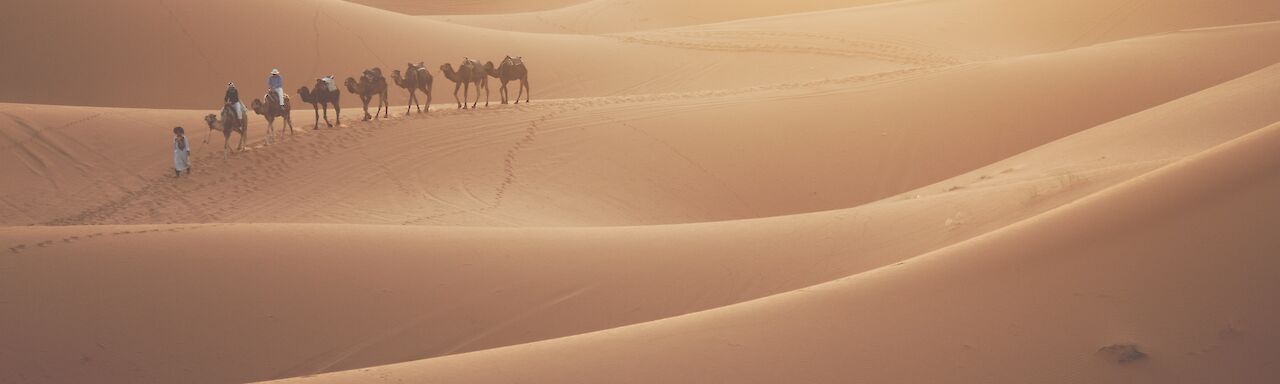 Kamelreiten in der Wüste bei Merzouga