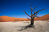 Tag 14: Sanddünen im Namib-Naukluft-Park