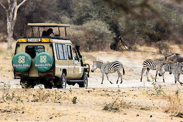 Geländewagen neben Zebras