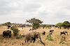 Safari in Tansania - Porini