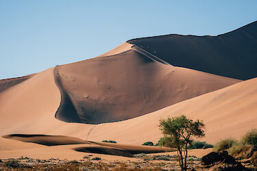 Wüstenlandschaft mit großen Sanddünen bei Sossusvlei