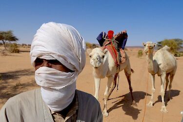 Tag 14 & 15: Mauretanische Wüste