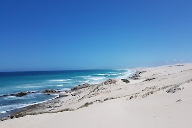 De Hoop Nature Reserve - Strand