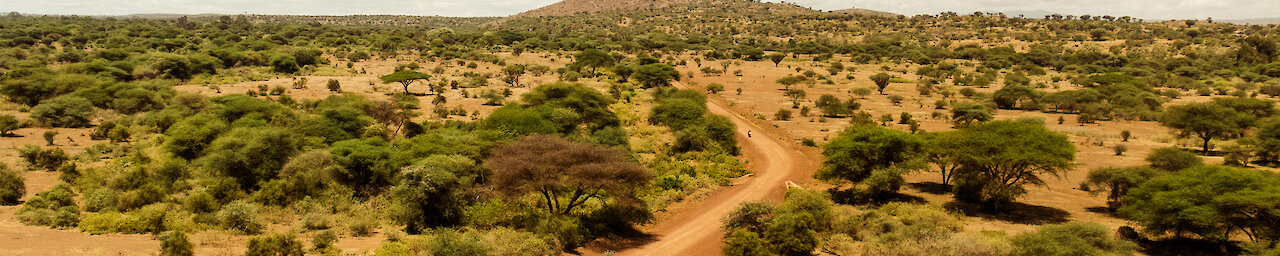 Allradfahrzeug auf einer sandigen Piste in Tanzania