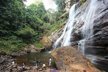 Wasserfälle im Bergregenwald