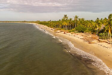 Strand bei Pangani