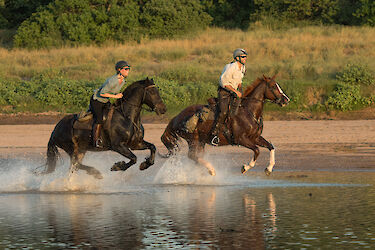 Reiten in Botswana