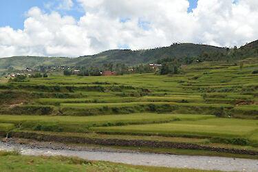 Tag 7: Fahrt durch das Hochland nach Antsirabe