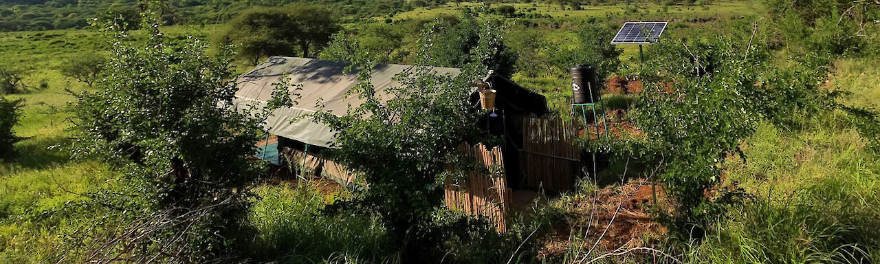 Safarizelt umgeben von der grünen Natur des Mkomazi-Nationalparks