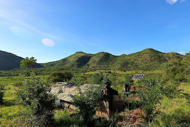 Safarizelt umgeben von der grünen Natur des Mkomazi-Nationalparks