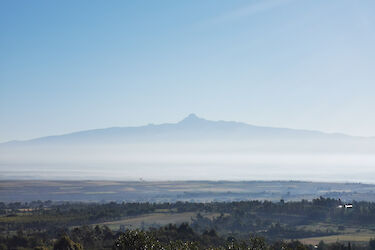 Tag 2: Die Ausläufer des Mount Kenya