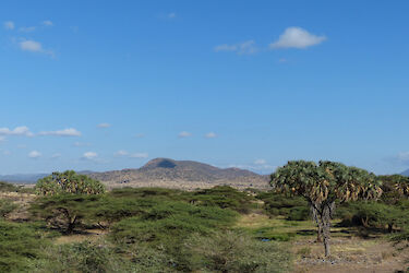 Landschaft im Samburu-Nationalreservat