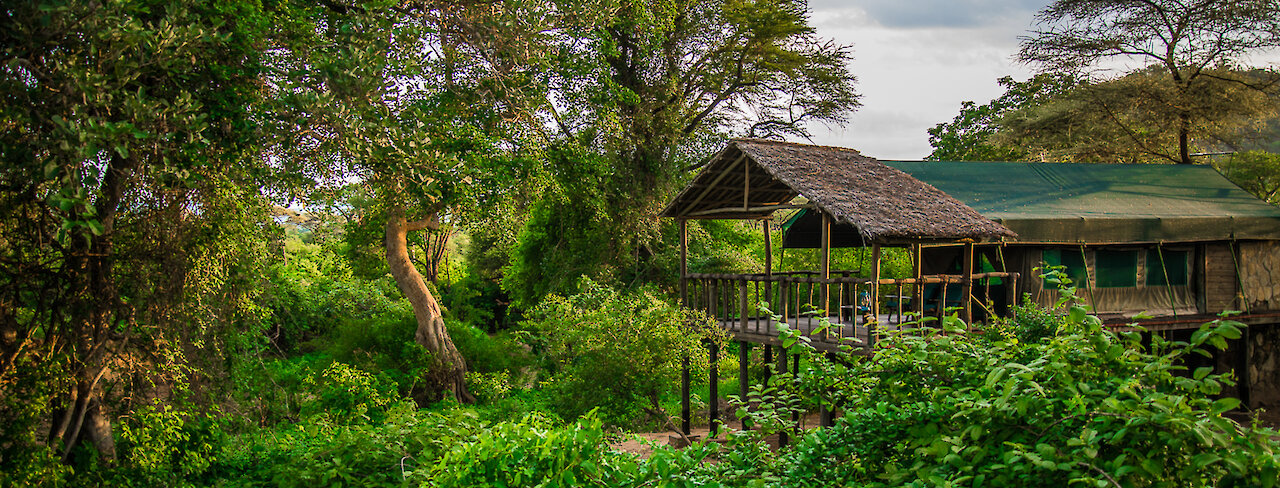 Tandala Tented Camp in der Natur des Ruaha-Nationalparks