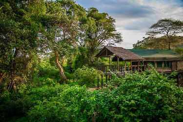 Tandala Tented Camp in der Natur des Ruaha-Nationalparks