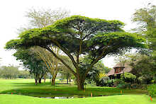 Garten und Golfanlage der Great Rift Valley Lodge