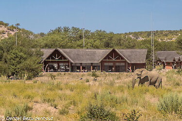 Hobatere Lodge in Namibia mit Elefant vor Hauptgebäude