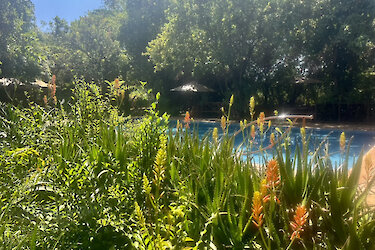 Natur am Pool im iKWETA Safari Camp