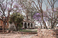 Außenbereich mit blühenden Bäumen im Guesthouse Voigtland