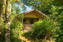 Engagi Lodge Bwindi Cottage