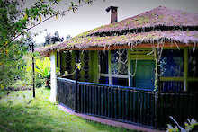 Außenansicht des Zimmer für Drei der Le Bambou Gorilla Lodge