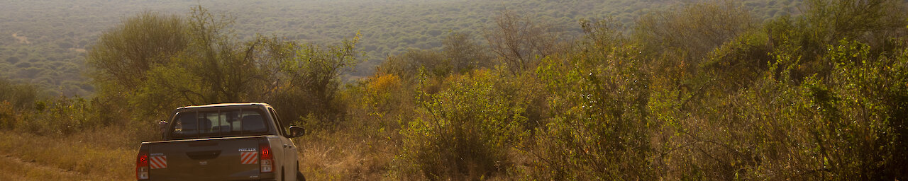 Toyota Pickup mit Ausblick
