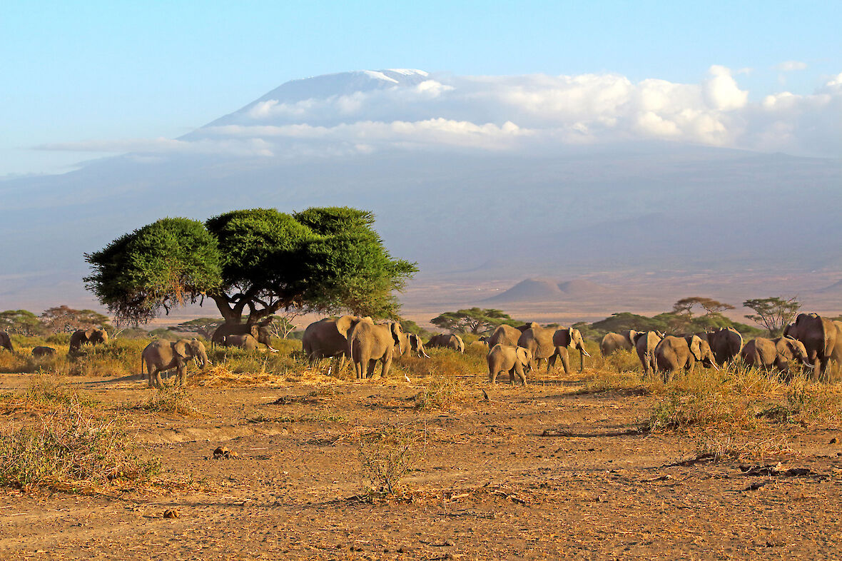 kenia safari auf eigene faust