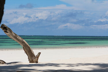 Das Türkise Meer am Diani-Beach