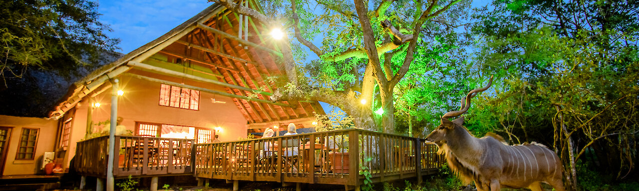 Außenansicht der Needles Safari Lodge mit einem Kudu