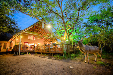 Außenansicht der Needles Safari Lodge mit einem Kudu